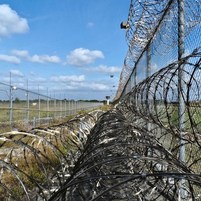 Prison fence and barbed wire